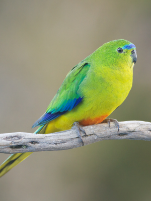 Welcome. Today is the 25 day of the month