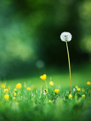 Welcome. Today is the 09 day of the month