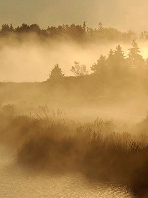 Welcome. Today is the 16 day of the month