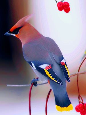 Welcome. Today is the 17 day of the month