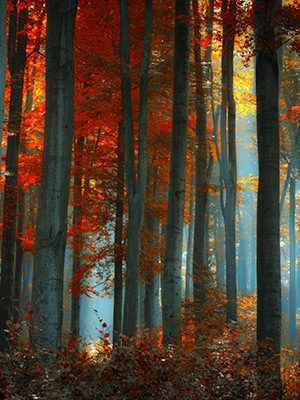 Welcome. Today is the 26 day of the month