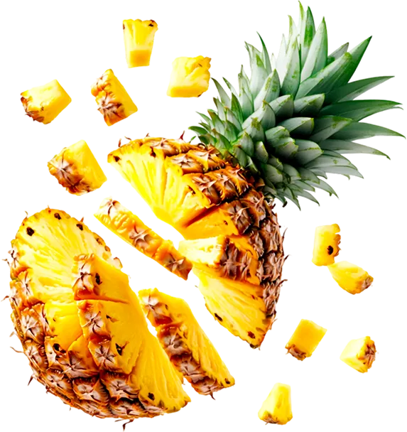 Tradex Asia pineapple