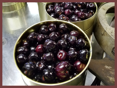 Canned Fruit